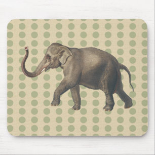 Coriander Spice Moods Dots med Elephant Musmatta