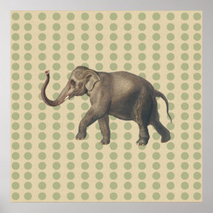 Coriander Spice Moods Dots med Elephant Poster