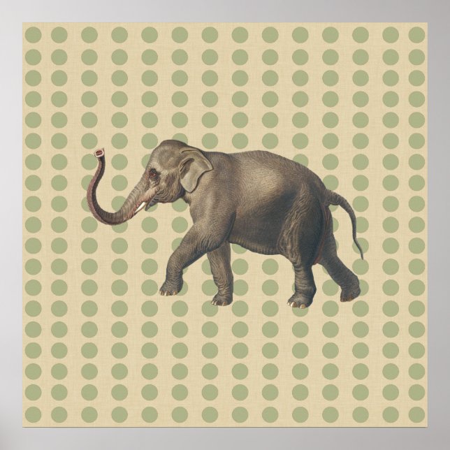 Coriander Spice Moods Dots med Elephant Poster (Framsidan)