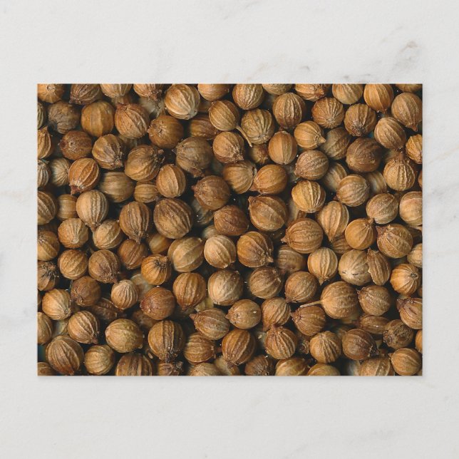 Coriander Vykort (Framsida)