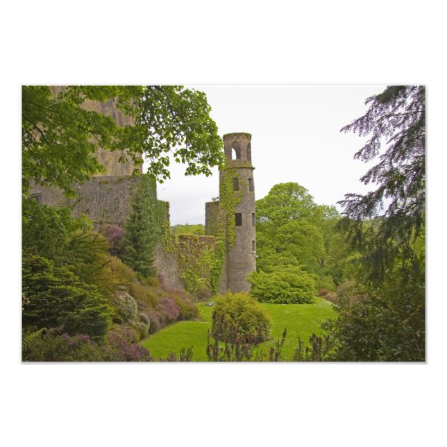 Cork, Irland. Det ökända Blarney Castle 2 Fototryck (Framsidan)