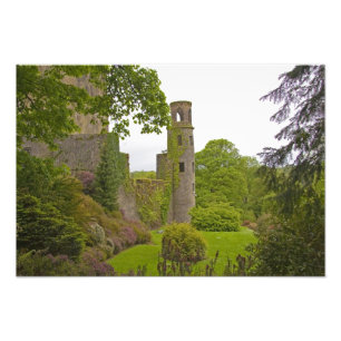 Cork, Irland. Det ökända Blarney Castle 2 Fototryck