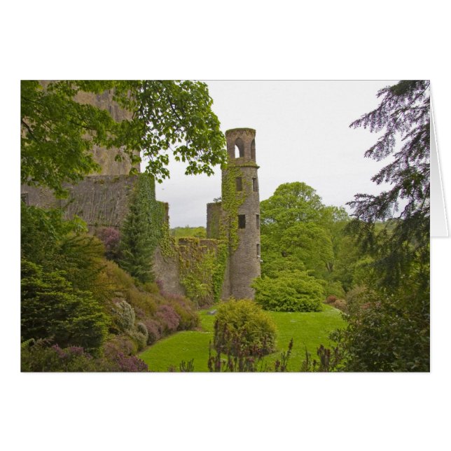 Cork, Irland. Det ökända Blarney Castle 2 Hälsningskort (Framsidan Horizontal)