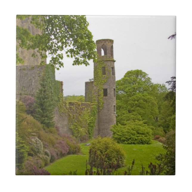 Cork, Irland. Det ökända Blarney Castle 2 Kakelplatta (Framsidan)