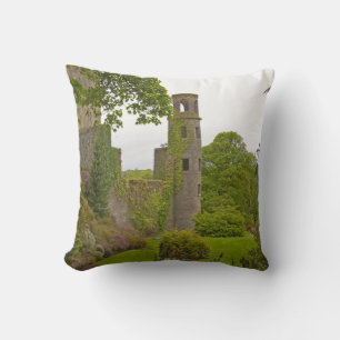 Cork, Irland. Det ökända Blarney Castle 2 Kudde
