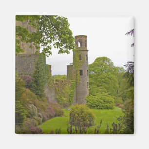 Cork, Irland. Det ökända Blarney Castle 2 Magnet