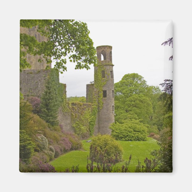 Cork, Irland. Det ökända Blarney Castle 2 Magnet (Framsidan)