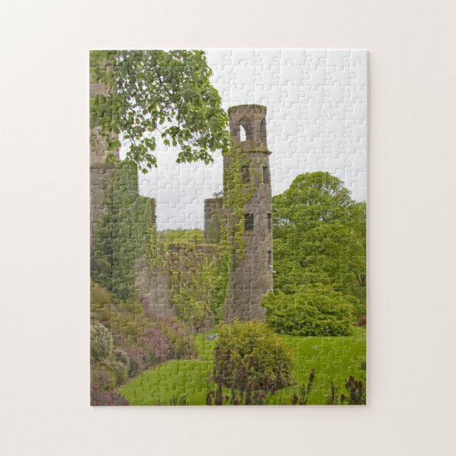 Cork, Irland. Det ökända Blarney Castle 2 Pussel (Vertikal)