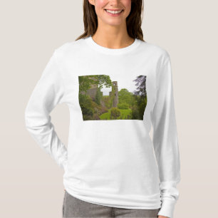 Cork, Irland. Det ökända Blarney Castle 2 Tee