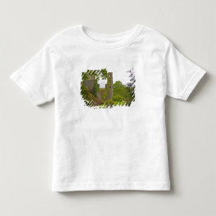 Cork, Irland. Det ökända Blarney Castle 2 Tee Shirt