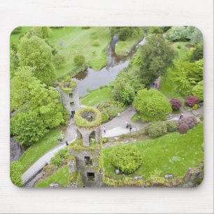 Cork, Irland. Det ökända Blarney Castle Musmatta