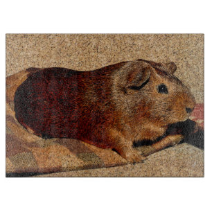 Corkboard Lookförsökskanin