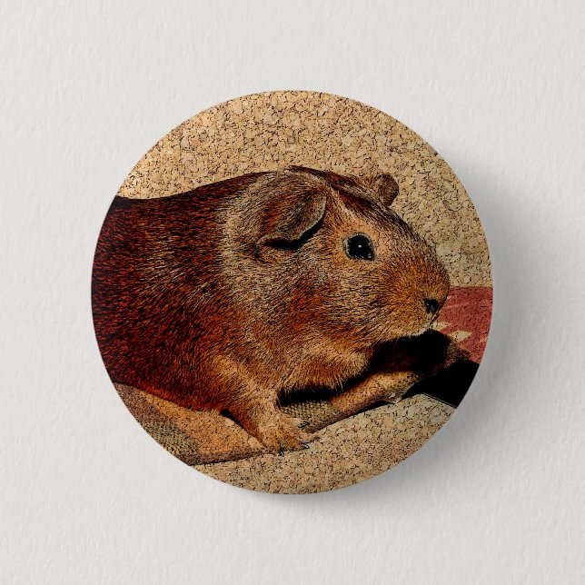 Corkboard Lookförsökskanin Knapp (Framsida)