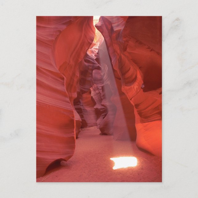 Corkskruv Canyon, Arizona Vykort (Framsida)
