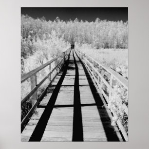 Corkskruv Swamp Sanctuary boardpromenad, Florida. Poster