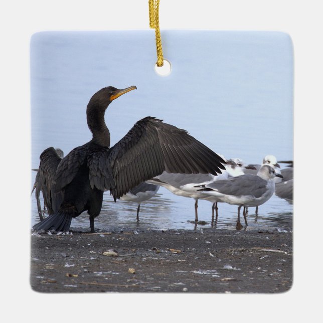 Cormorant and Seagulls Ornament  (Framsida)