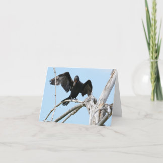 Cormorant genom att använda vingar för att kort