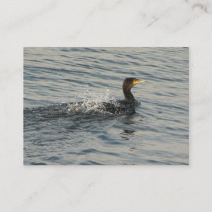 Cormorant Learning to Simma Visitkort