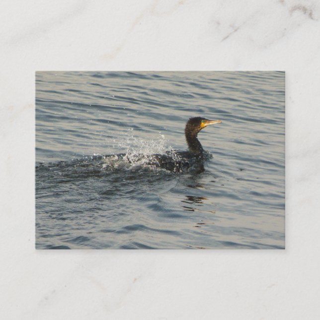 Cormorant Learning to Simma Visitkort (Framsida)