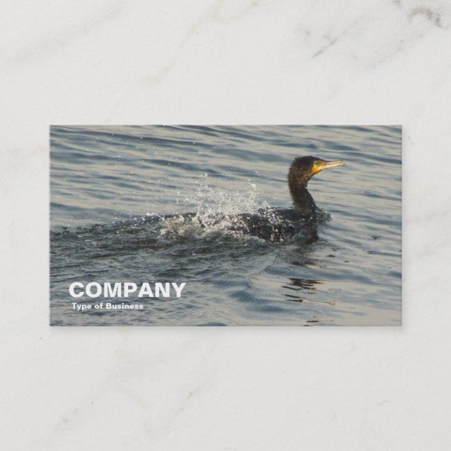 Cormorant Learning to Simma Visitkort (Framsida)