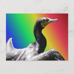 Cormorant Rainbow DIY vykort