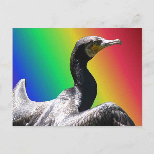 Cormorant Rainbow DIY vykort (Framsida)