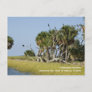 Cormorant Rookery Postcard Vykort