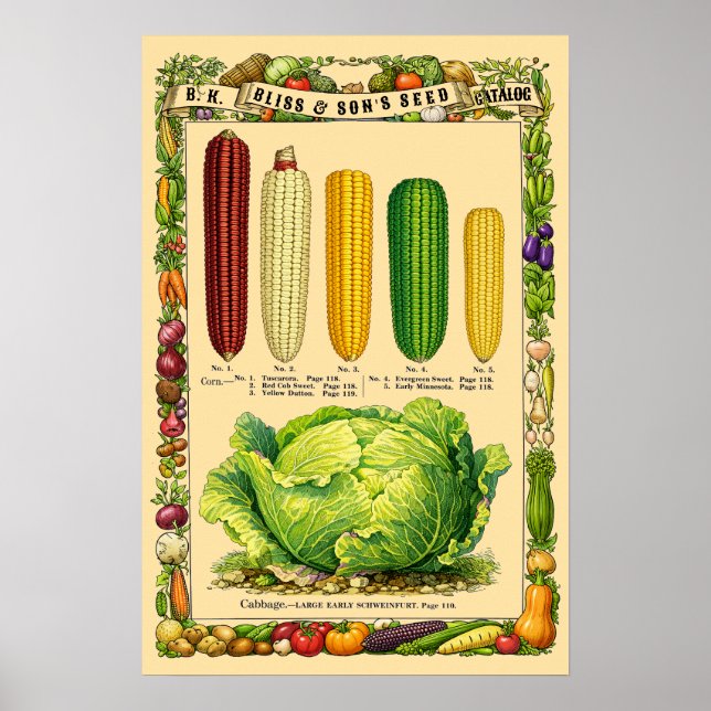 Corn Retro Victorian Era Botanical Art Poster (Framsidan)