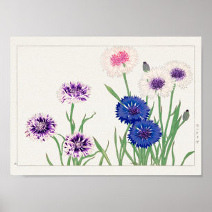 Cornblomma av Tanigami Konan Poster