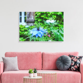 Cornblomma Canvastryck