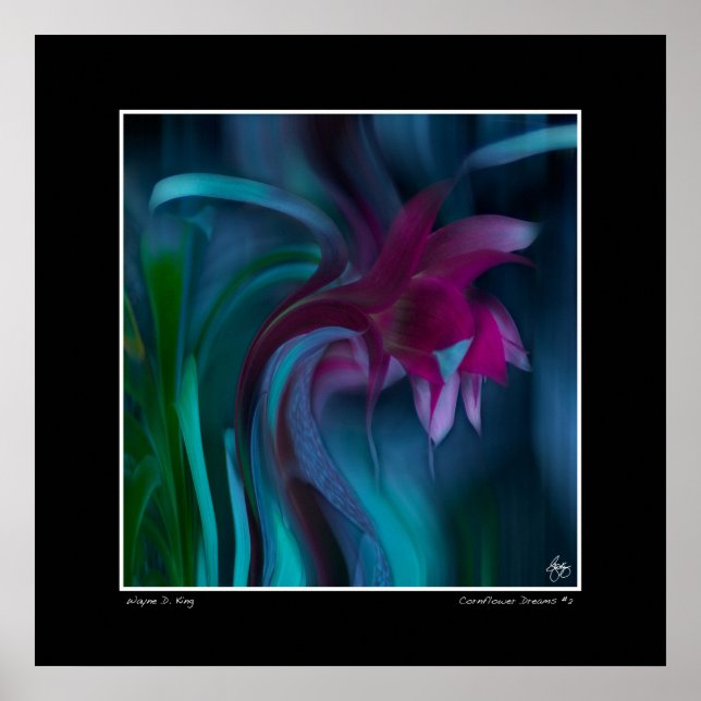 Cornblomma Dreams #2 Poster (Framsidan)