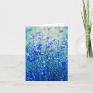 Cornblommor Kort