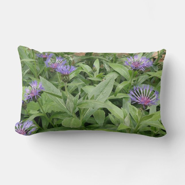 Cornblommor Pillow Lumbarkudde (Framsida)