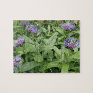 Cornblommor Puzzle Pussel