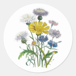 Cornblommor Runt Klistermärke