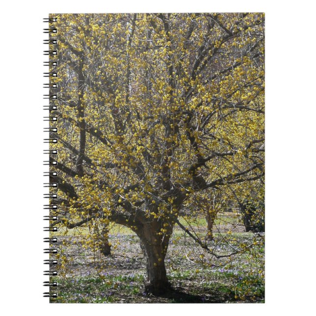 Cornelian Cherry Dogwood och Glory i Snö Anteckningsbok (Framsidan)