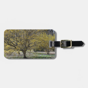 Cornelian Cherry Dogwood och Glory i Snö Bagagebricka