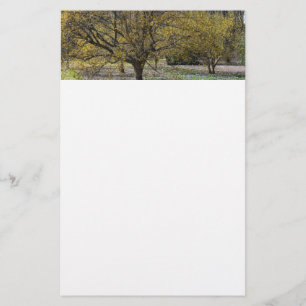 Cornelian Cherry Dogwood och Glory i Snö Brevpapper