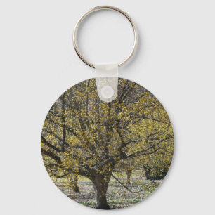 Cornelian Cherry Dogwood och Glory i Snö Nyckelring