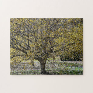 Cornelian Cherry Dogwood och Glory i Snö Pussel