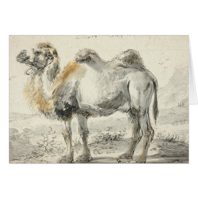 Cornelis Saftleven - A Camel Hälsningskort (Framsidan Horizontal)