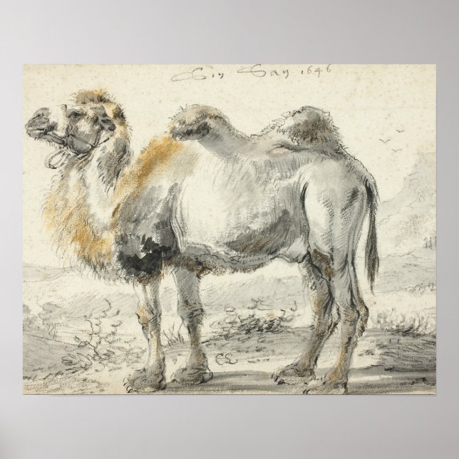 Cornelis Saftleven - A Camel Poster (Framsidan)