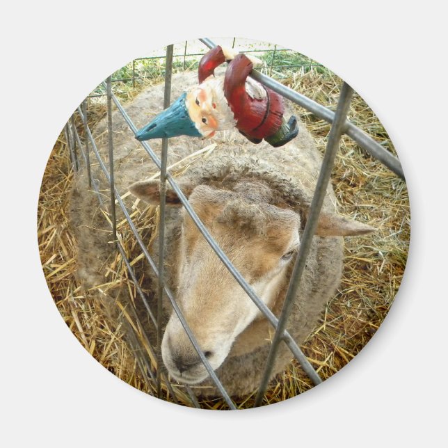 Cornelius och får magnet (Framsidan)