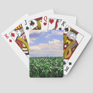 "Cornfield Blowing in Vind"-samling Kortlek