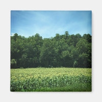 Cornfield i Rural North Carolina Poster