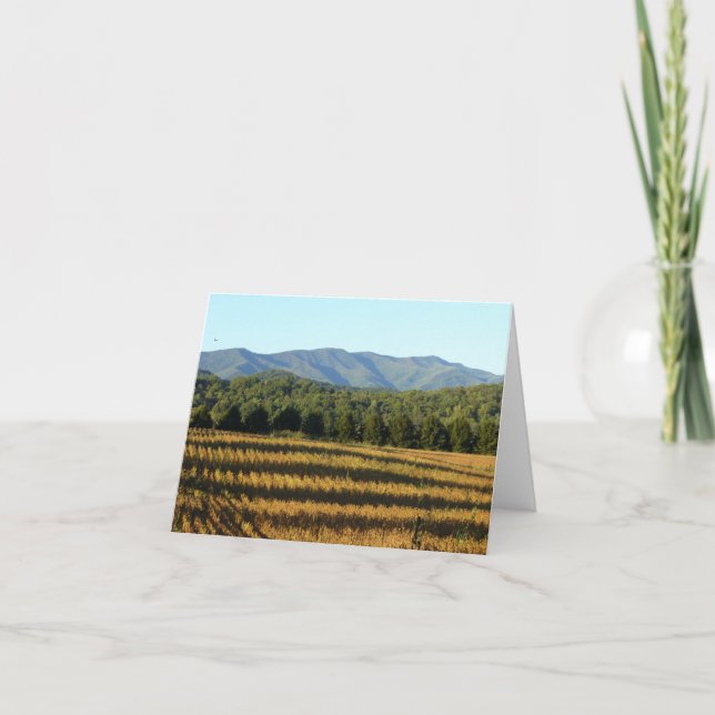 Cornfield Kort (Framsida)