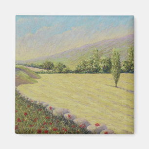 Cornfield nära Eymet, Dordogne, frankrike i Magnet