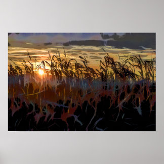 Cornfield sunrise poster
