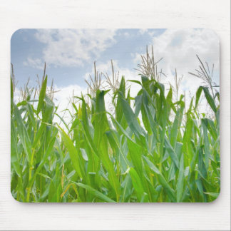 Cornfieldmousepad Musmatta
