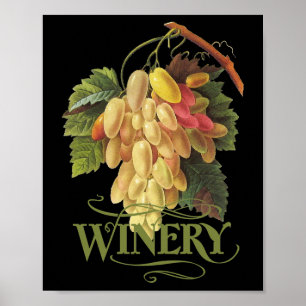 Cornichons blancs Graps Poster
